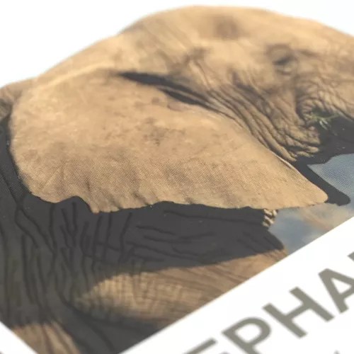 Cuaderno Argollado Profesional Raya Ecoplanet Elephant Dusty Gray