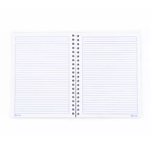 Cuaderno Argollado Profesional Raya Hello Kitty I wonder 100 Hojas