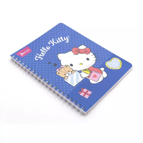 Cuaderno Argollado Profesional Raya Hello Kitty Travel 100 Hojas
