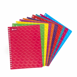 Cuaderno Argollado Profesional Raya Norma 100 Hojas