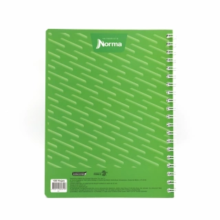 Cuaderno Argollado Profesional Raya Norma Verde 100 Hojas
