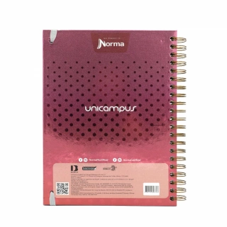 Cuaderno Argollado Profesional Raya Unicampus Norma Rojo Holografico 160 Hojas