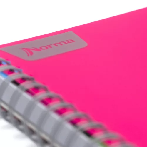Cuaderno Argollado Universitario Raya Master Degree Rosa 160 Hojas