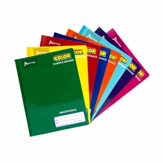 Cuaderno Cosido Profesional Cuadro Grande 100 Hojas Norma Color