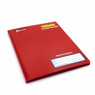 Cuaderno Cosido Profesional Cuadro Grande Norma Color Rojo 100 Hojas
