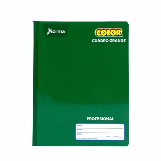 Cuaderno Cosido Profesional Cuadro Grande Norma Color Verde 100 Hojas