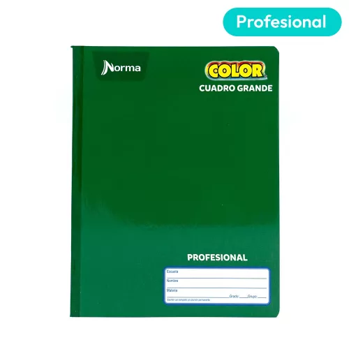 Cuaderno Cosido Profesional Cuadro Grande Norma Color Verde 100 Hojas