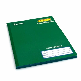 Cuaderno Cosido Profesional Cuadro Grande Norma Color Verde 100 Hojas