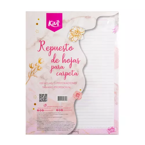 Hojas Repuesto Carpeta Profesional 100H Kiut