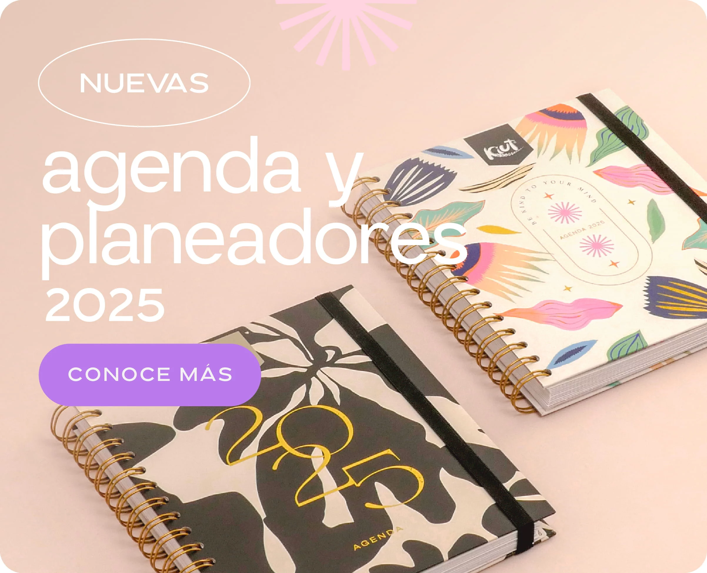 Agendas Y Planeadores