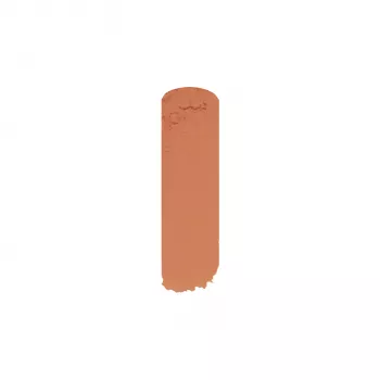 Corrector Paint Stick #102 10g.