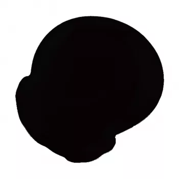 Esmaltes Nailen NEGRO 10g.