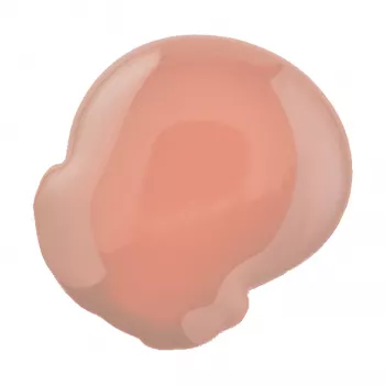 Esmaltes Nailen SALMON 10g.
