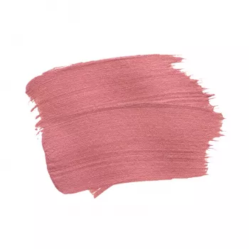 Labial Larga Duración Ilusión Nailen Palo de Rosa 2g.