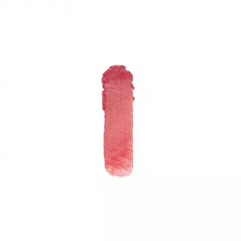 Labial Tradicional Nailen #42 4g