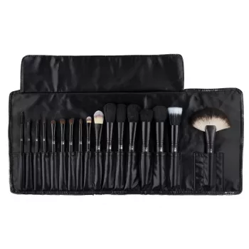Set de Brochas SP PRO